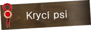 krycipsi1